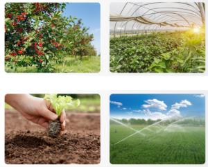 Dragino-Soil-Moisture-1.png