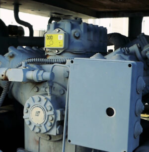 Bob-assistant-field-4.jpg